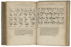 Chaldean letters in book
