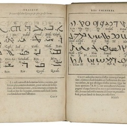 Language