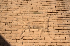 Mushhushshu Furious Snake